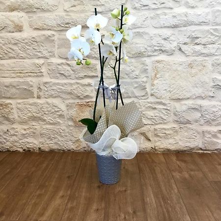 B&B Sant'Agostino ジョヴィナッツォ エクステリア 写真