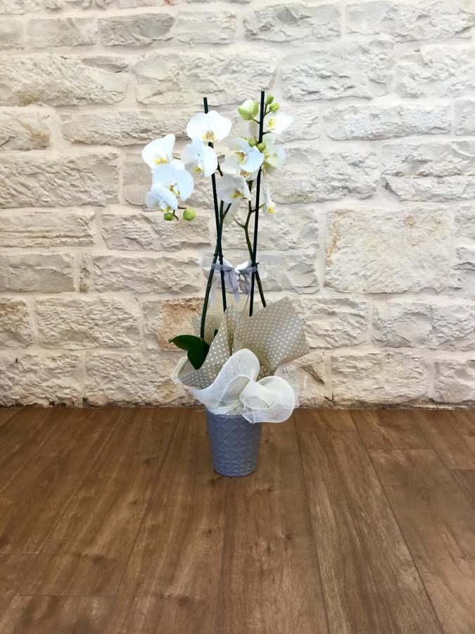 B&B Sant'Agostino ジョヴィナッツォ エクステリア 写真